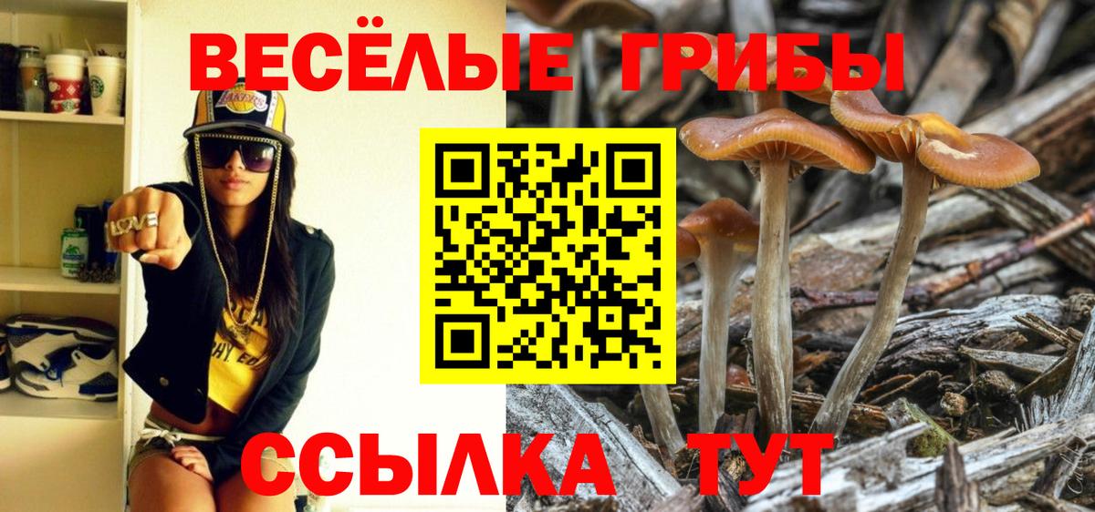 Мариинск  Псилоцибиновые грибы мицелий  Вход с VPN 