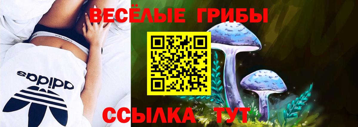 Псилоцибиновые грибы Magic Shrooms Мариинск